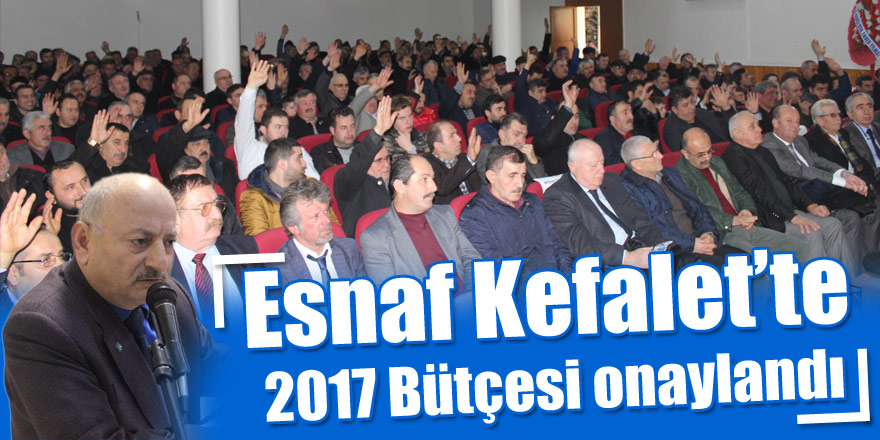 Esnaf Kefalet'te 2017 Bütçesi onaylandı