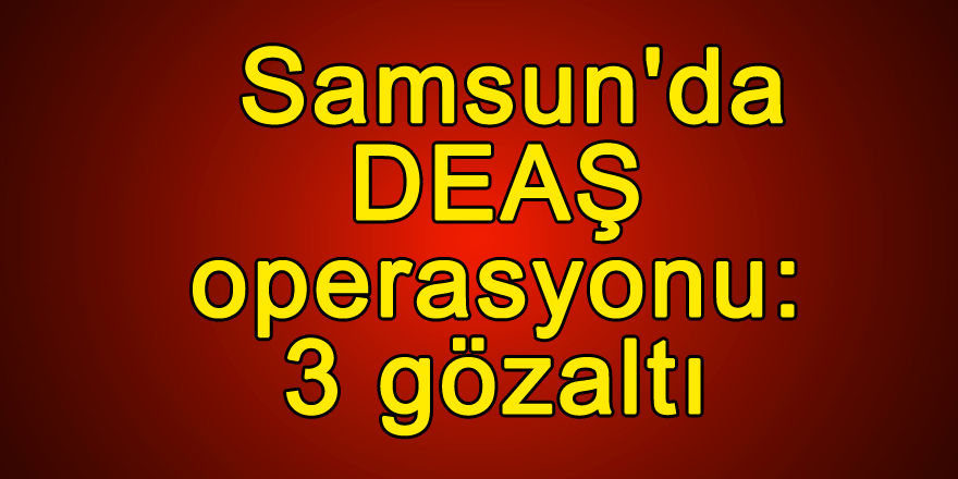 Samsun'da DEAŞ operasyonu: 3 gözaltı