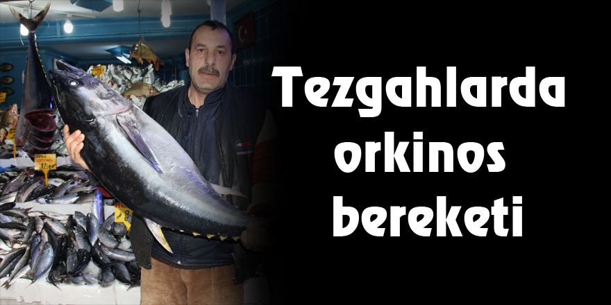 Tezgahlarda orkinos bereketi