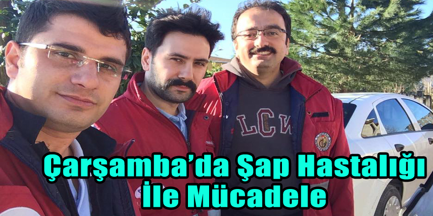 Çarşamba’da Şap Hastalığı İle Mücadele