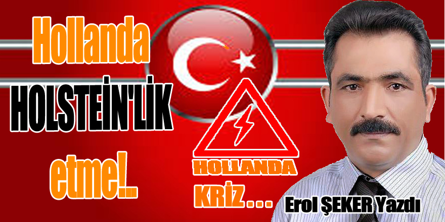 Hollanda HOLSTEİN'LİK ETME!..