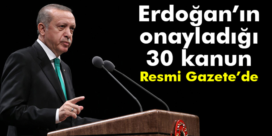 Erdoğan’ın onayladığı 30 kanun Resmi Gazete’de