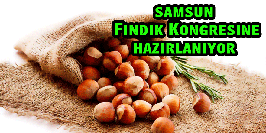 Samsun Fındık Kongresine hazırlanıyor