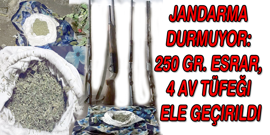 Jandarma durmuyor: 250 Gr. Esrar, 4 Av tüfeği ele geçirildi