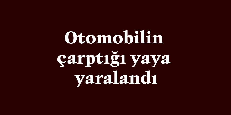 Otomobilin çarptığı yaya yaralandı