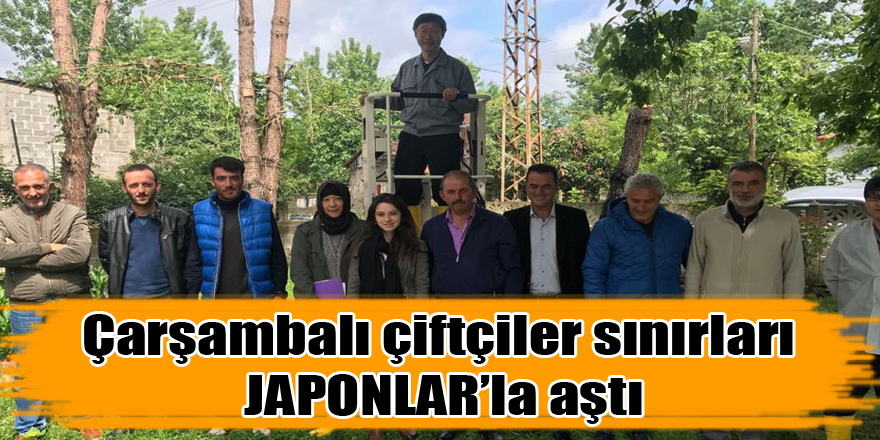 Çarşambalı çiftçiler sınırları Japonlarla aştı