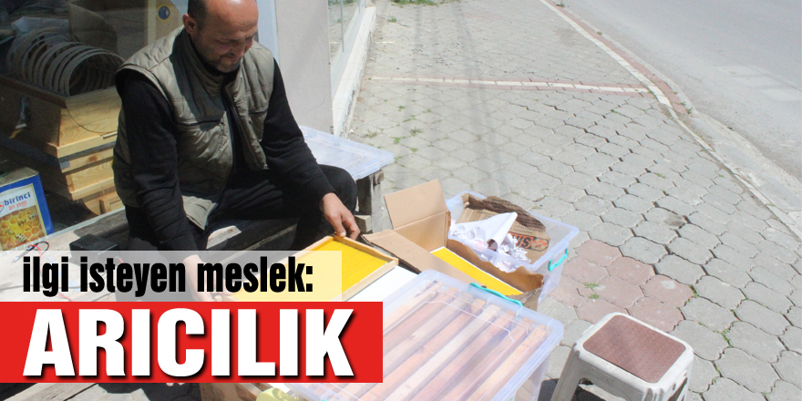 İlgi isteyen meslek: ARICILIK