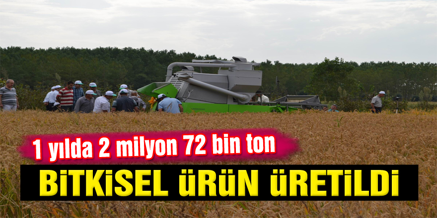 Samsun’da 1 yılda 2 milyon 72 bin ton bitkisel ürün üretildi