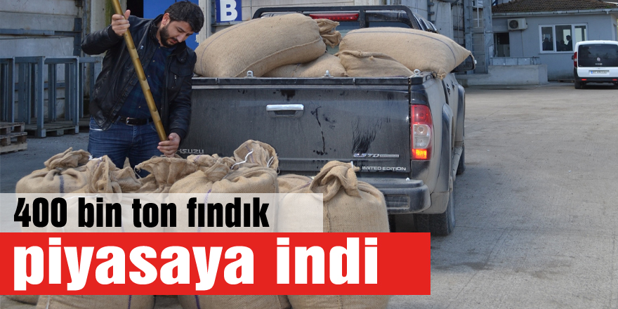 400 bin ton fındık piyasaya indi