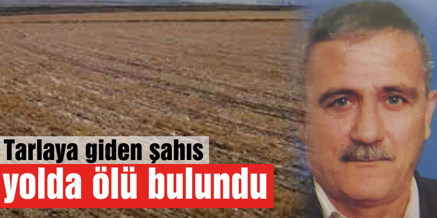 Tarlaya giden şahıs yolda ölü bulundu