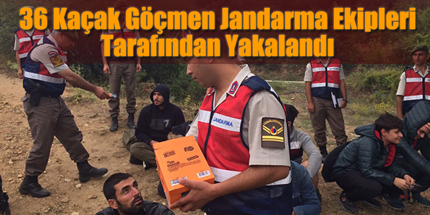 Günlerdir ormanda yaşıyorlardı! Yakalandılar