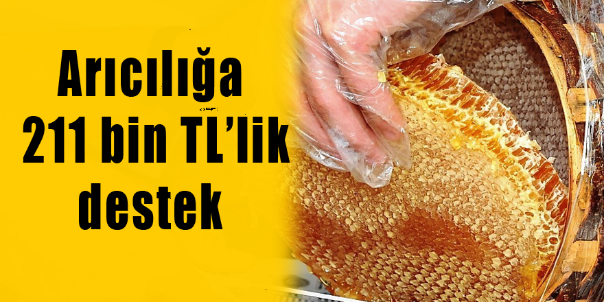 Büyükşehirden arıcılığa 211 bin TL’lik destek