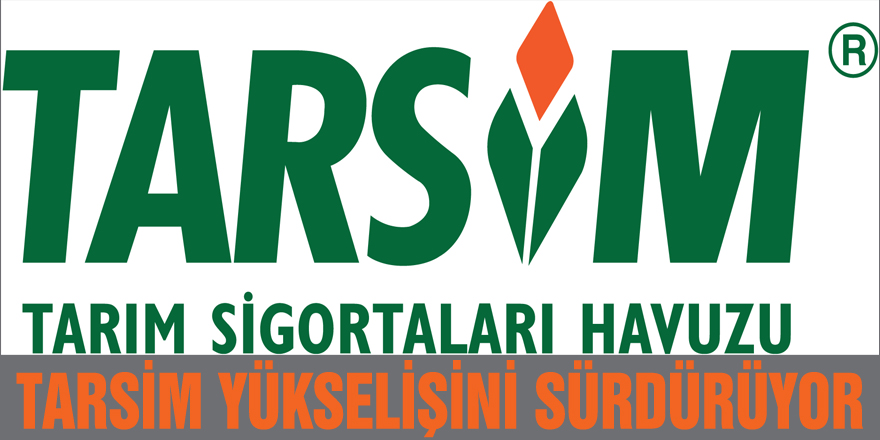 TARSİM YÜKSELİŞİNİ SÜRDÜRÜYOR