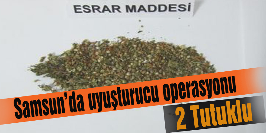 Samsun’da uyuşturucu operasyonu: 2 tutuklama