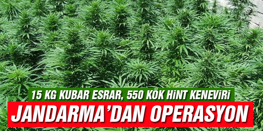 Çarşamba’da 15 kg kubar esrar yakalandı