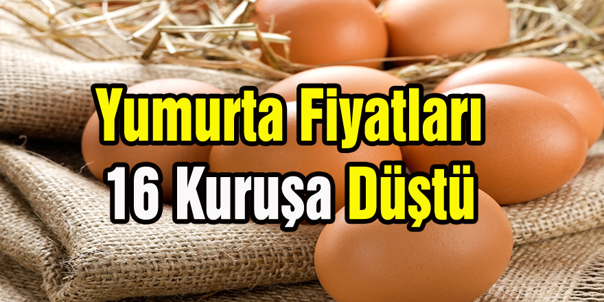 Yumurta Fiyatları 16 Kuruşa Düştü