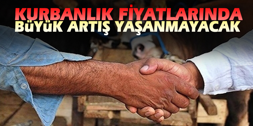 Kurbanlık Fiyatlarında Büyük Artış Yaşanmayacak