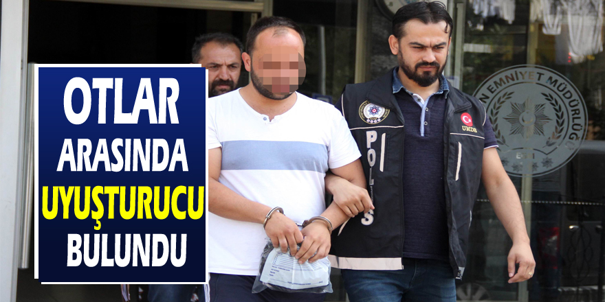 Otlar arasına uyuşturucu hap saklayan genç gözaltına alındı