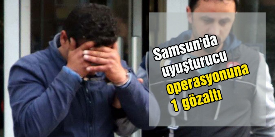 Samsun'da uyuşturucu operasyonuna 1 gözaltı