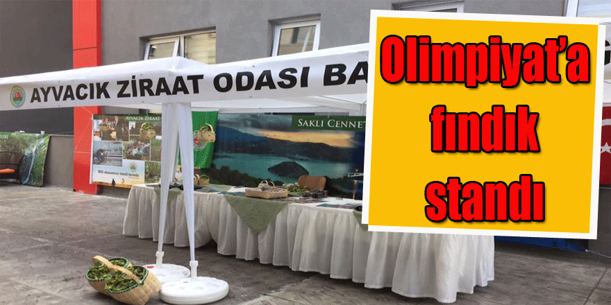 Olimpiyat’a fındık standı