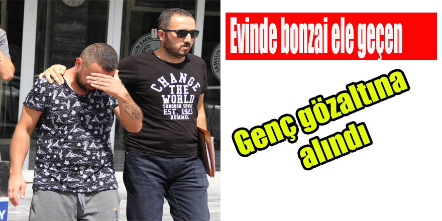 Evinde bonzai ele geçen genç gözaltına alındı