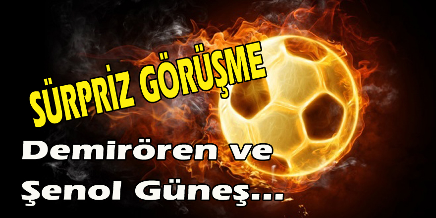 sürpriz görüşme  Demirören, Şenol Güneş