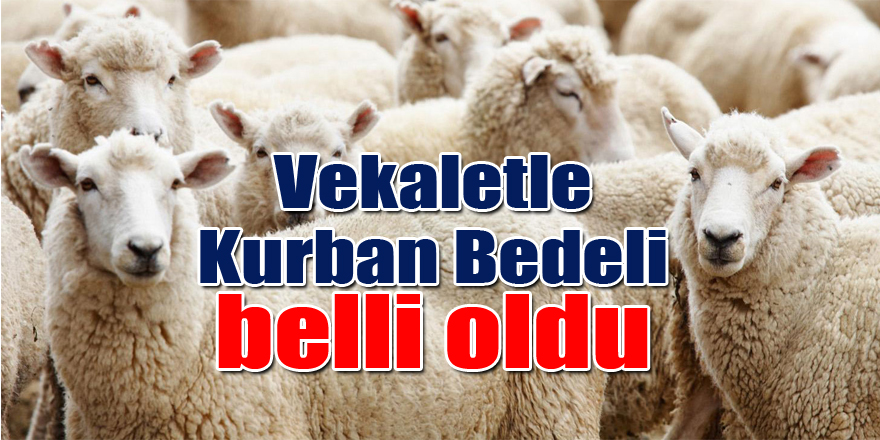 Vekaletle Kurban Bedeli belli oldu