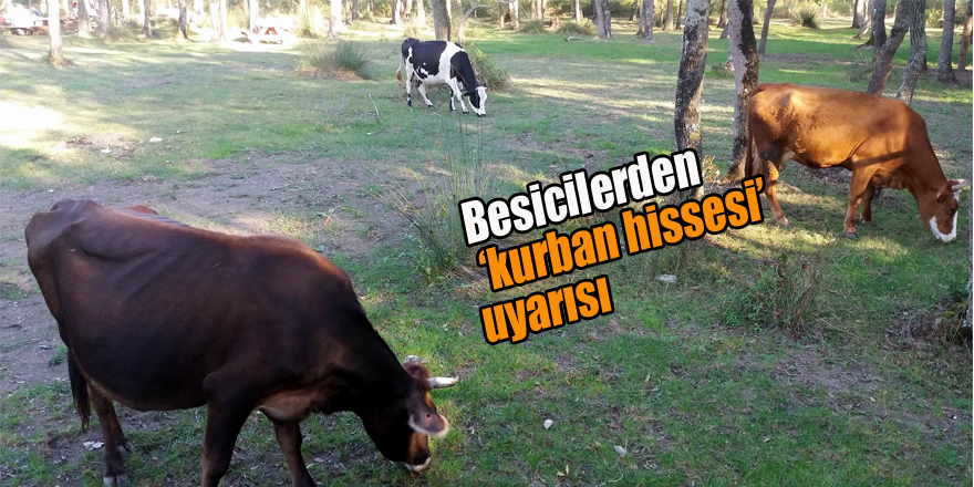 Besicilerden ‘kurban hissesi’ uyarısı