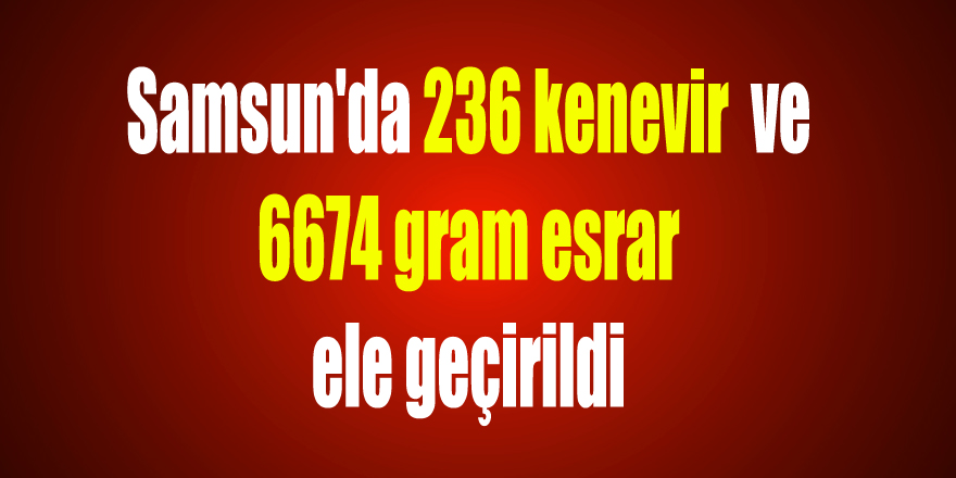Samsun'da 236 kenevir ve 6674 gram esrar ele geçirildi