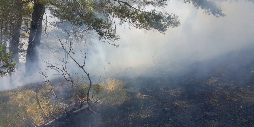 Alaçam'da orman yangını