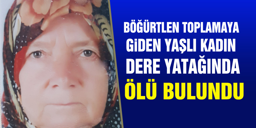 Böğürtlen toplamaya giden yaşlı kadın dere yatağında ölü bulundu