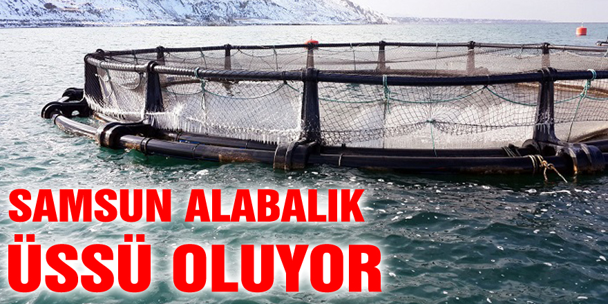 Samsun Alabalık Üssü Oluyor