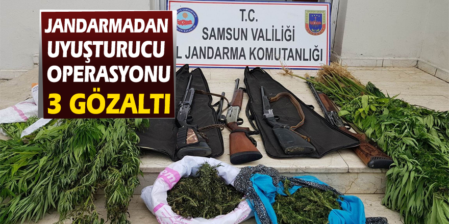 Jandarmadan uyuşturucu operasyonu: 3 gözaltı