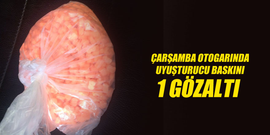 Otogarda uyuşturucu baskını: 1 gözaltı