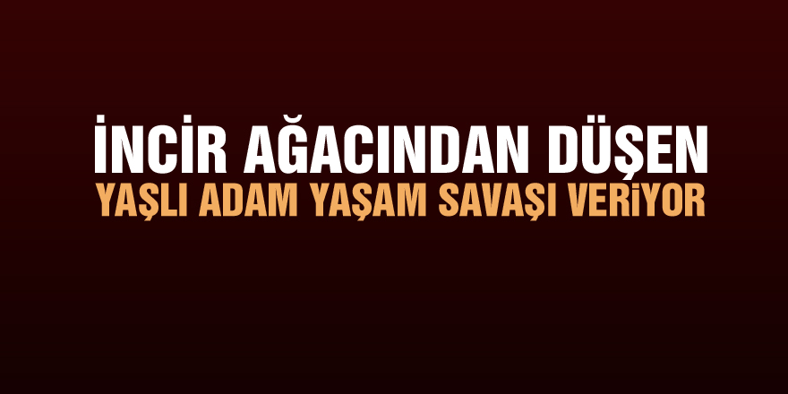 İncir ağacından düşen yaşlı adam yaşam savaşı veriyor