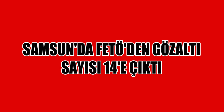 Samsun'da FETÖ'den gözaltı sayısı 14'e çıktı