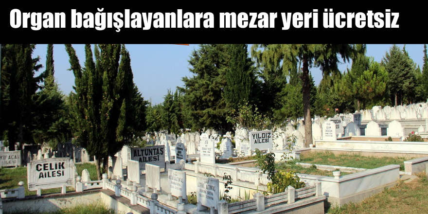 Organ bağışlayanlara mezar yeri ücretsiz 