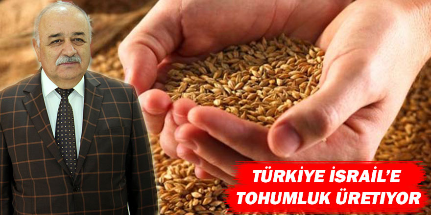 Taşan: "Türkiye İsrail’e tohumluk üretiyor"