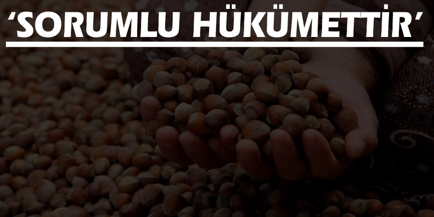 Usta, ‘Sorumlu Hükümettir’