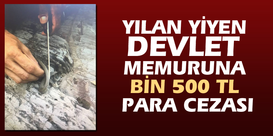 Yılan yiyen devlet memuruna bin 500 TL para cezası