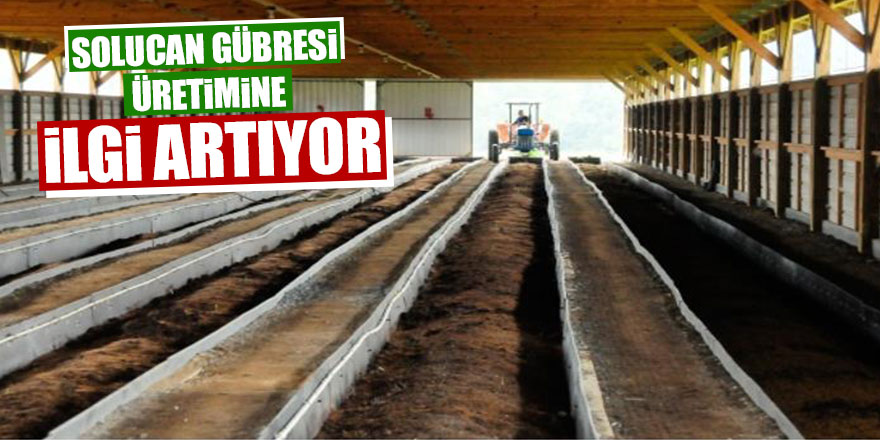 Solucan gübresi üretimine ilgi artıyor