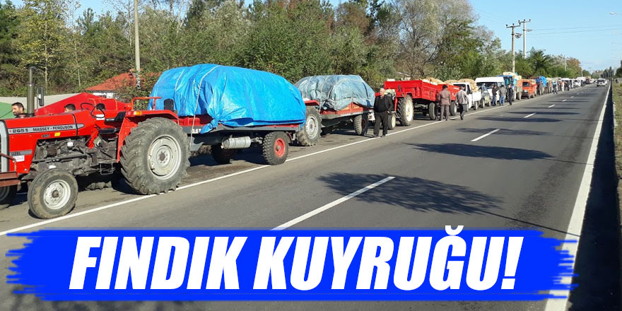 FINDIK KUYRUĞU!