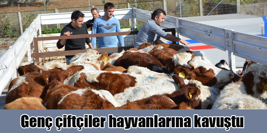 Genç çiftçiler hayvanlarına kavuştu 