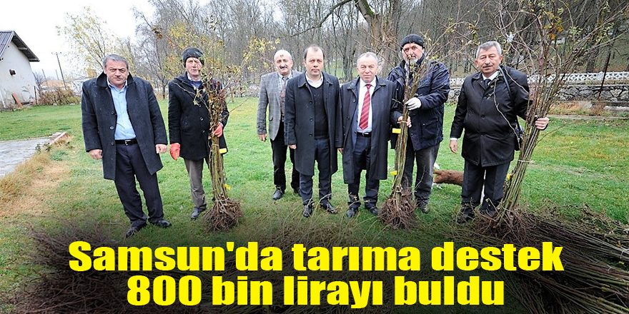 Samsun'da tarıma destek 800 bin lirayı buldu