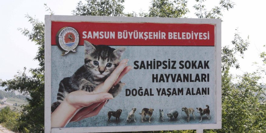 Samsun Büyükşehir Belediyesi örnek oldu