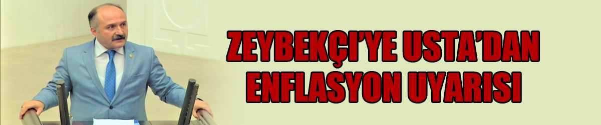 Zeybekçi’ye Usta’dan enflasyon uyarısı