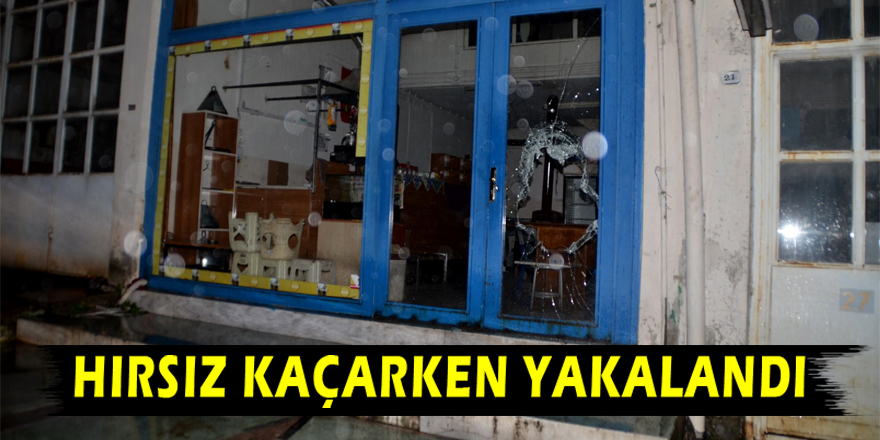 Hırsız kaçarken yakalandı 