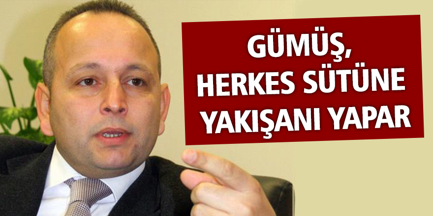 Gümüş, "Herkes sütüne yakışanı yapar"