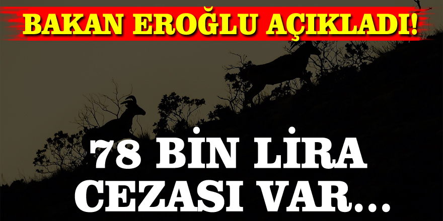 Bakan Eroğlu açıkladı! 78 bin lira cezası var...
