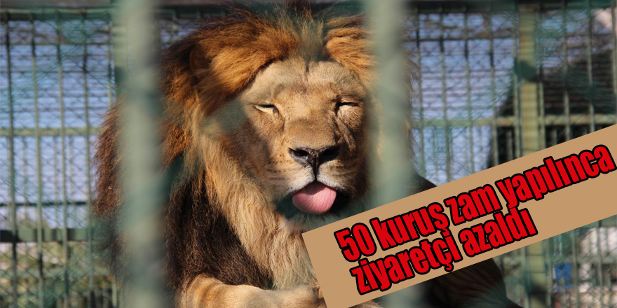 Hayvanat bahçesine 50 kuruş zam yapılınca ziyaretçi azaldı